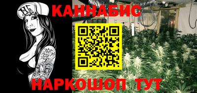 ешки Краснознаменск