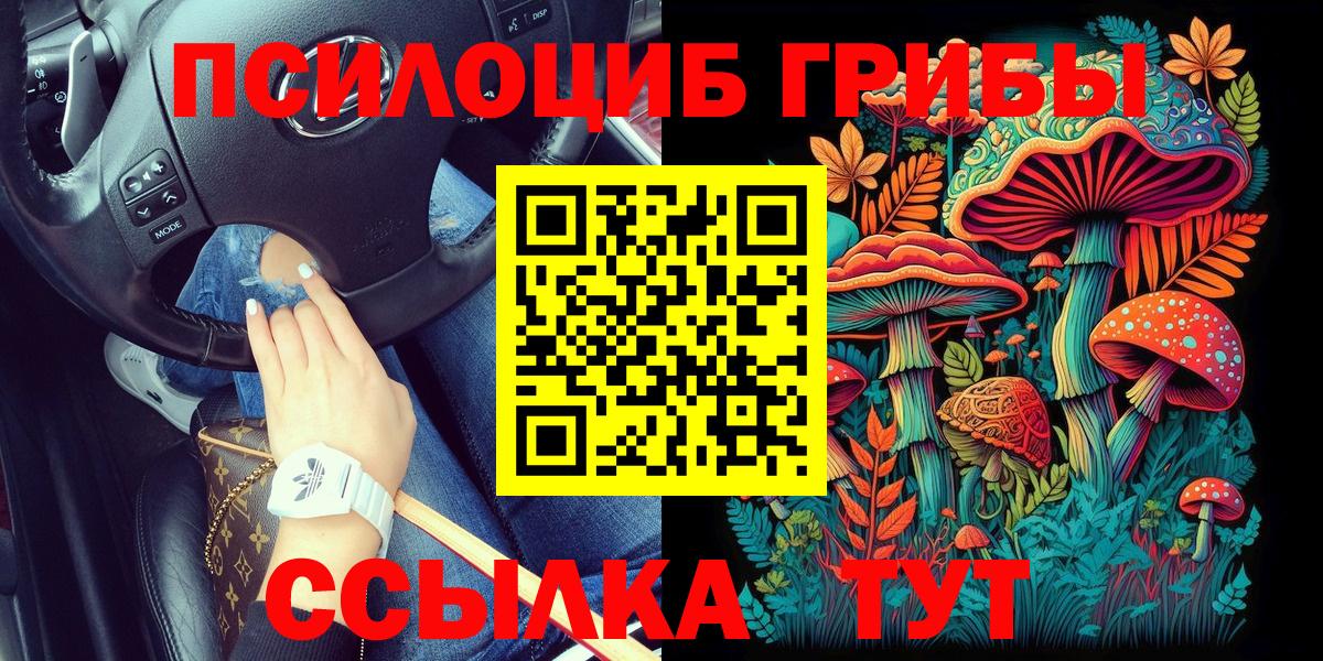 Псилоцибиновые грибы MAGIC MUSHROOMS  Вход с VPN  Коммунар 