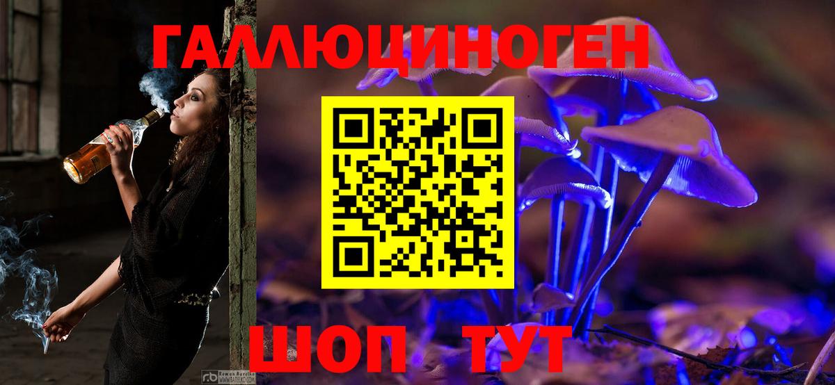 Галлюциногенные грибы Psilocybine cubensis Коммунар